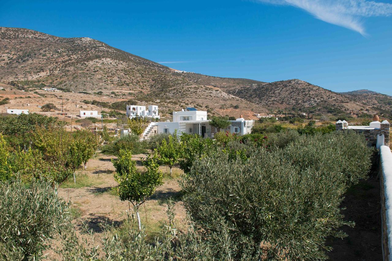 Villa River With Pool Kamares  Exterior foto